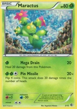 Maractus