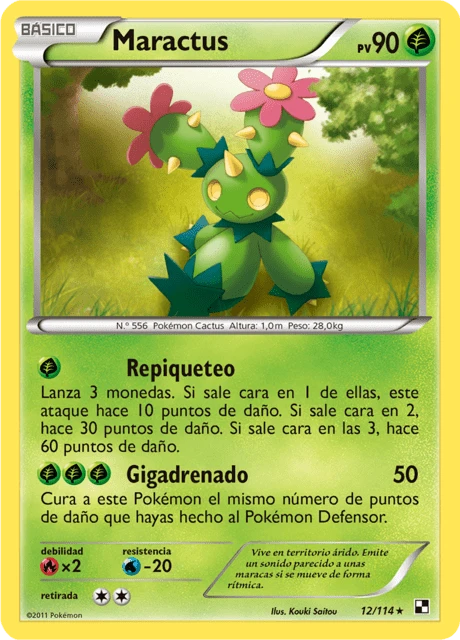 Maractus