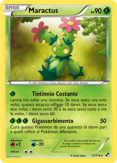 Maractus