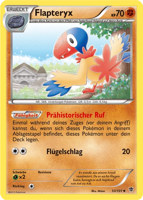 Flapteryx – Normal