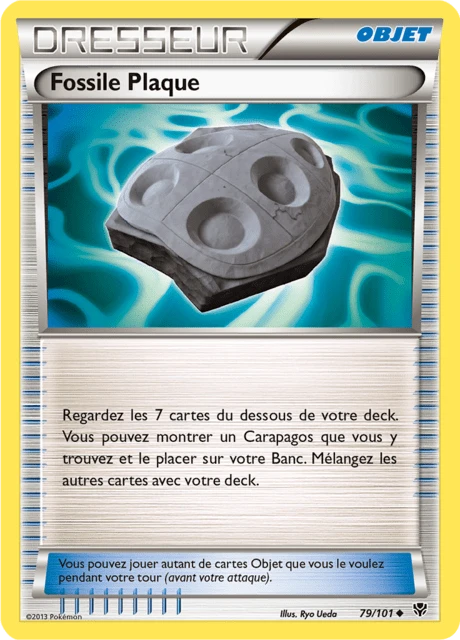 Fossile Plaque – Normal