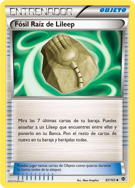 Fósil Raíz de Lileep