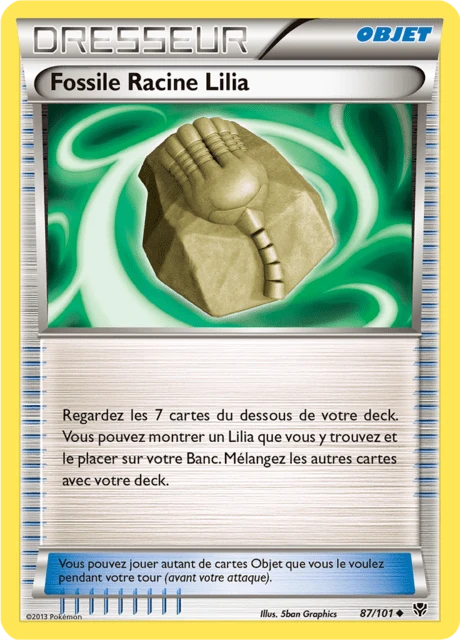 Fossile Racine Lilia – Normal