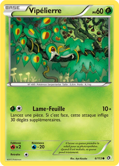 Vipélierre