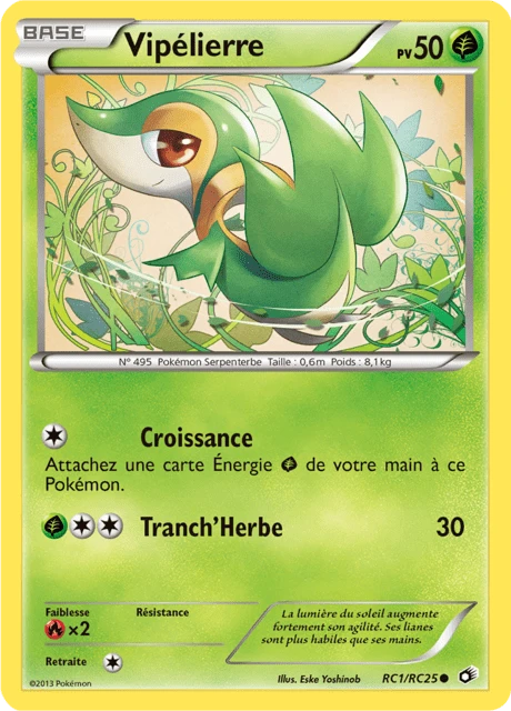 Vipélierre – Reverse Holo