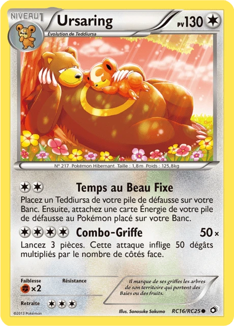 Ursaring – Holo