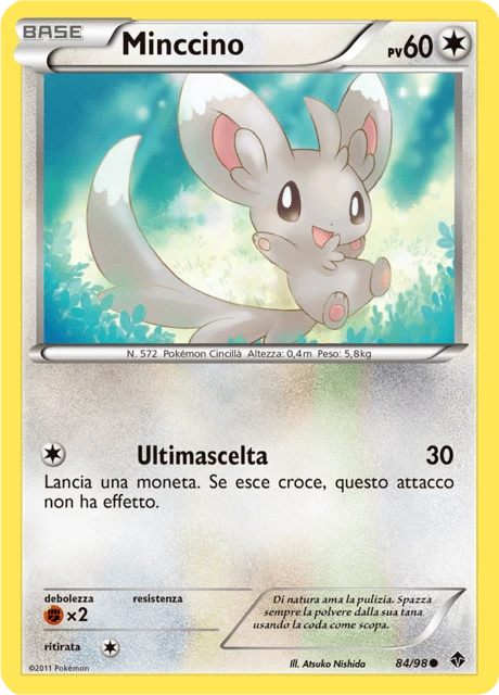 Minccino – Normal