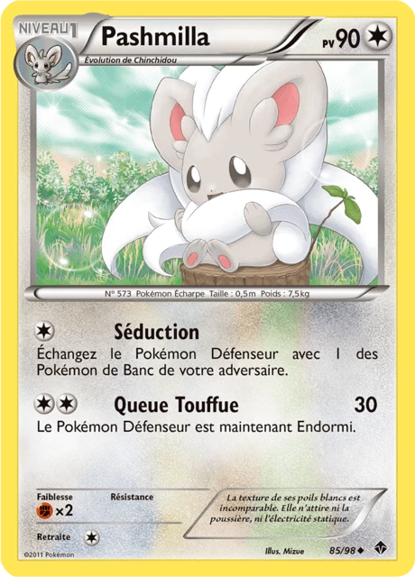 Pashmilla – Reverse Holo