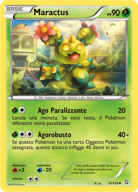 Maractus