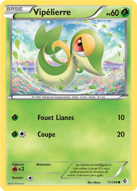 Vipélierre