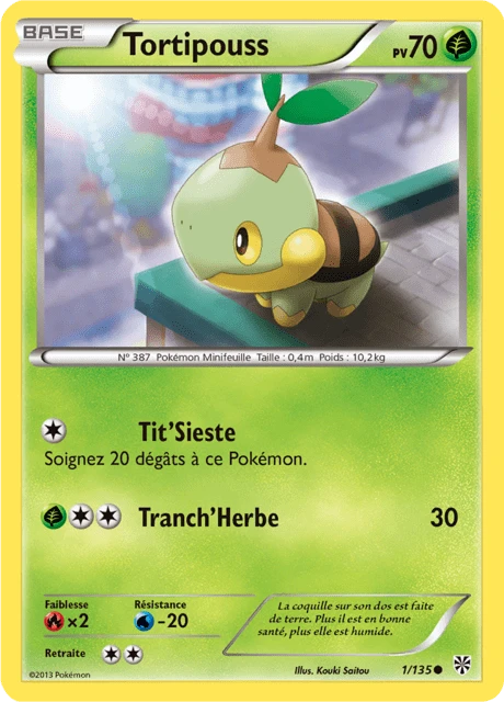 Tortipouss