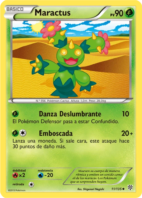 Maractus