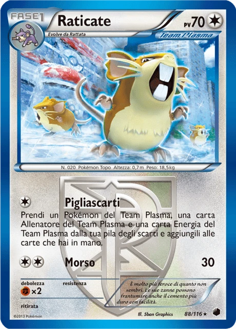 Raticate – Reverse Holo