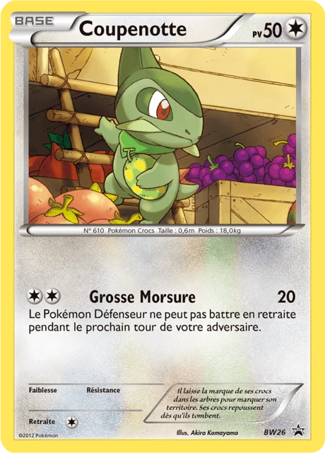 Coupenotte