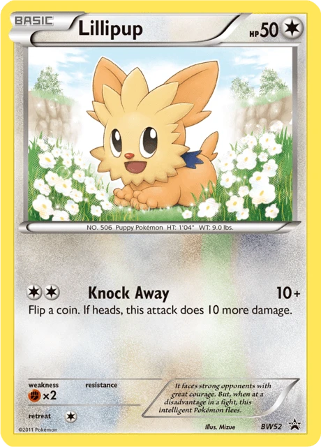 Lillipup