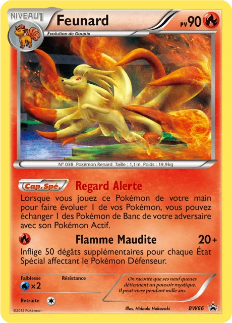 Feunard – Holo