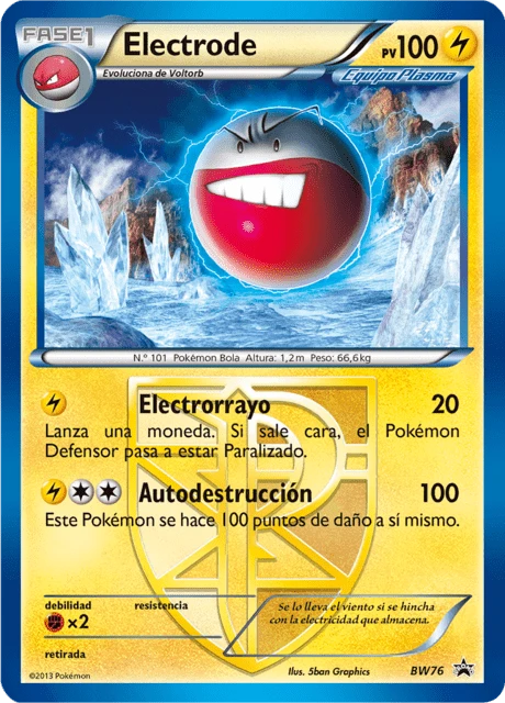 Electrode – Holo