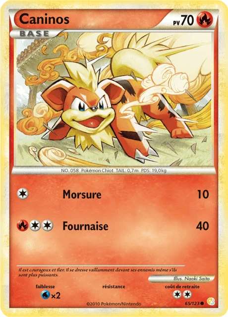 Caninos – Reverse Holo