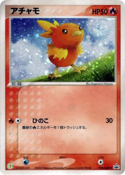 Torchic