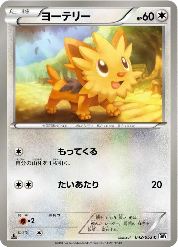 Lillipup