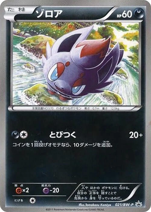 Zorua – Normal