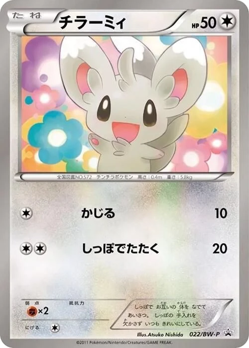 Minccino – Normal