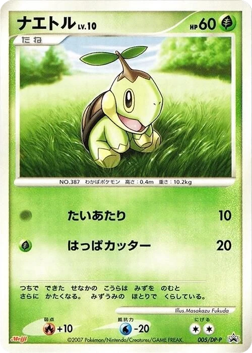 Turtwig