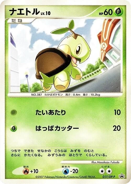 Turtwig