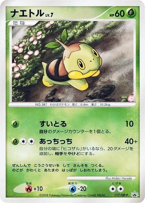 Turtwig