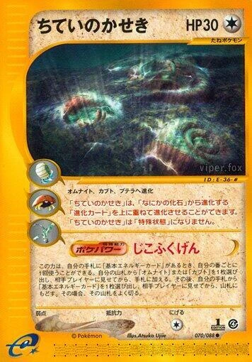 Buried Fossil – Normal