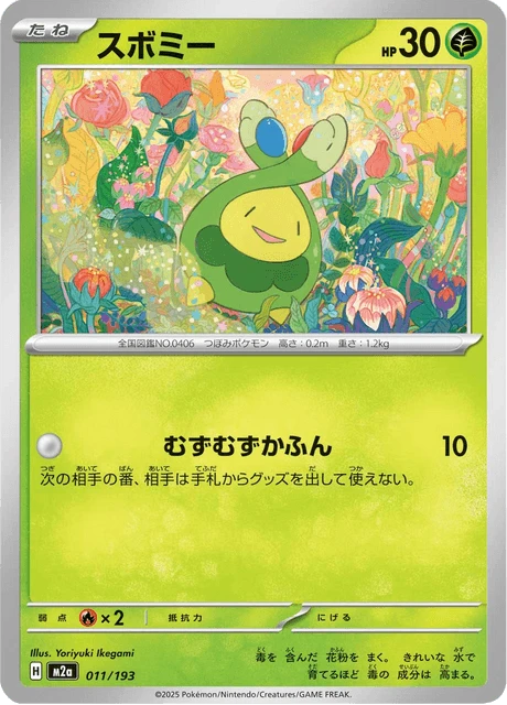 Budew – Normal