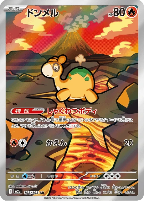 Numel – Holo
