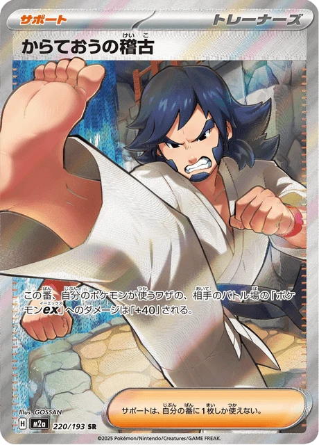 Black Belt's Training – Holo