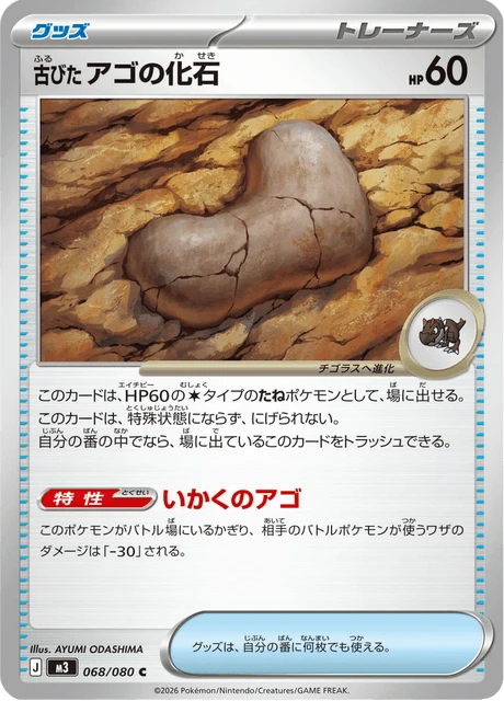 Antique Jaw Fossil – Normal