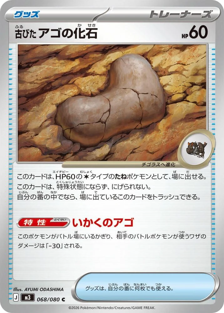 Antique Jaw Fossil – Normal