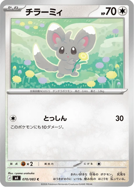Minccino – Normal