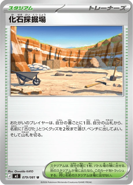 Fossil Excavation Site