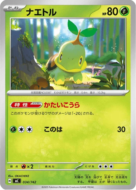 Turtwig