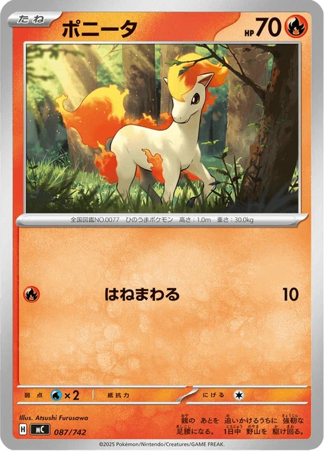 Ponyta – Normal