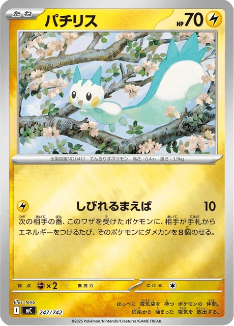 Pachirisu – Normal