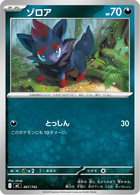 Zorua – Normal