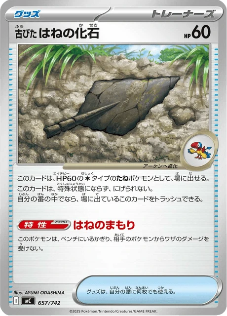 Antique Plume Fossil – Normal