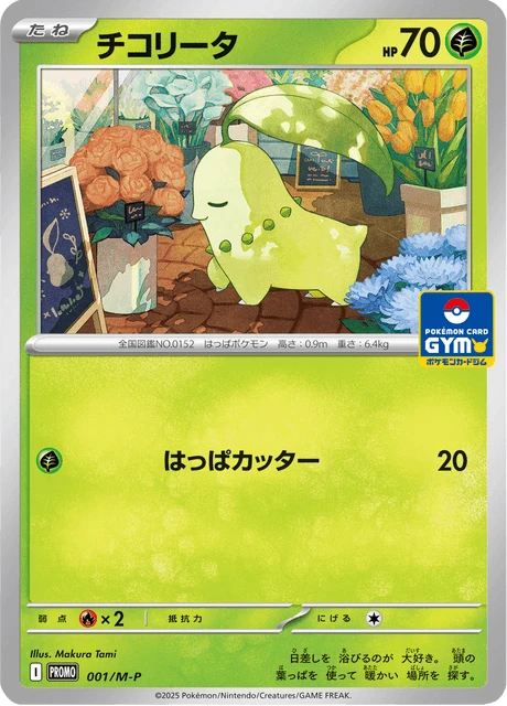 Chikorita – Normal