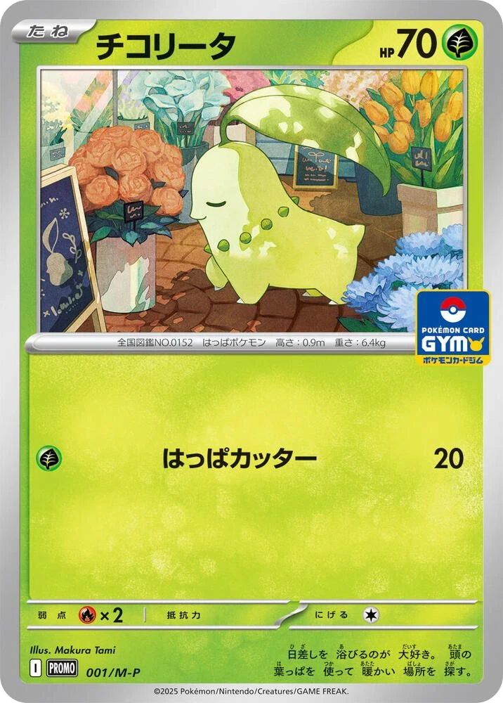 Chikorita – Normal