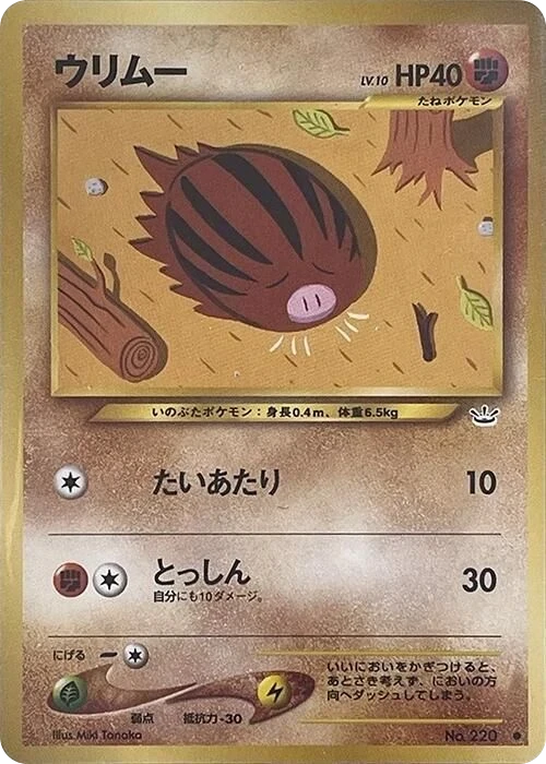 Swinub