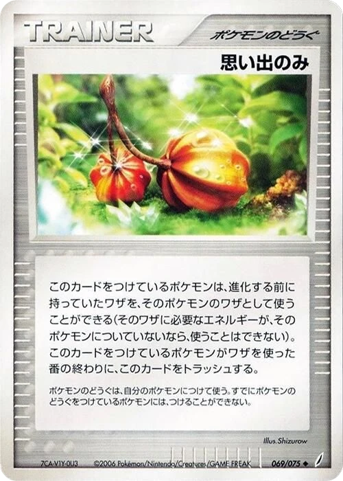 Memory Berry – Normal