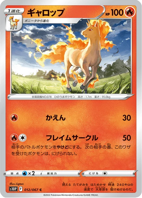 Rapidash – Normal