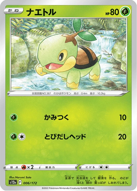 Turtwig – Normal