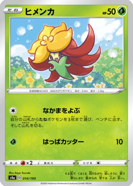 Gossifleur