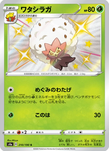 Eldegoss – Holo